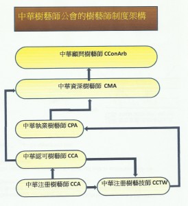 CAA --- 中華樹藝師的制度架構